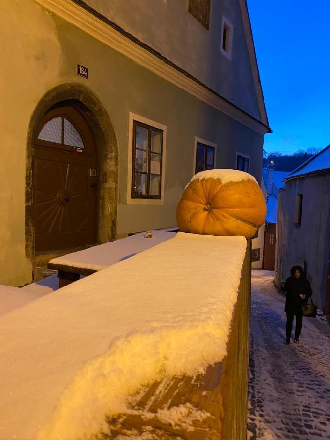 Cesky Krumlov Centrum Ap 6 Eksteriør billede